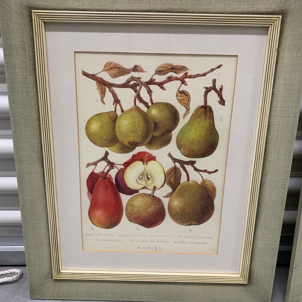 Beautiful fine art